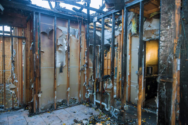 Professional Fire Damage Removal technician working in Stevenson, AL